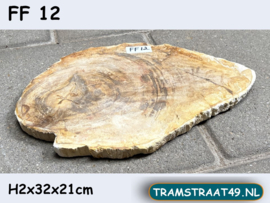 Versteendhout plak klein FF12 (32x21cm)