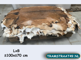 Geitenvachten (±100x±70cm)