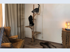 Katten krabpalen teakhout ±180 cm hoog