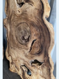 Boomstam tafelblad BT13 (206x120cm)