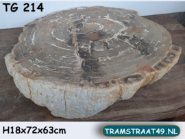 Dikke schijf versteend hout TG214