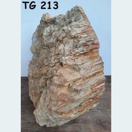 Dikke versteend hout schijf TG213