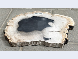 Versteendhout schijf D328 (38x25cm)