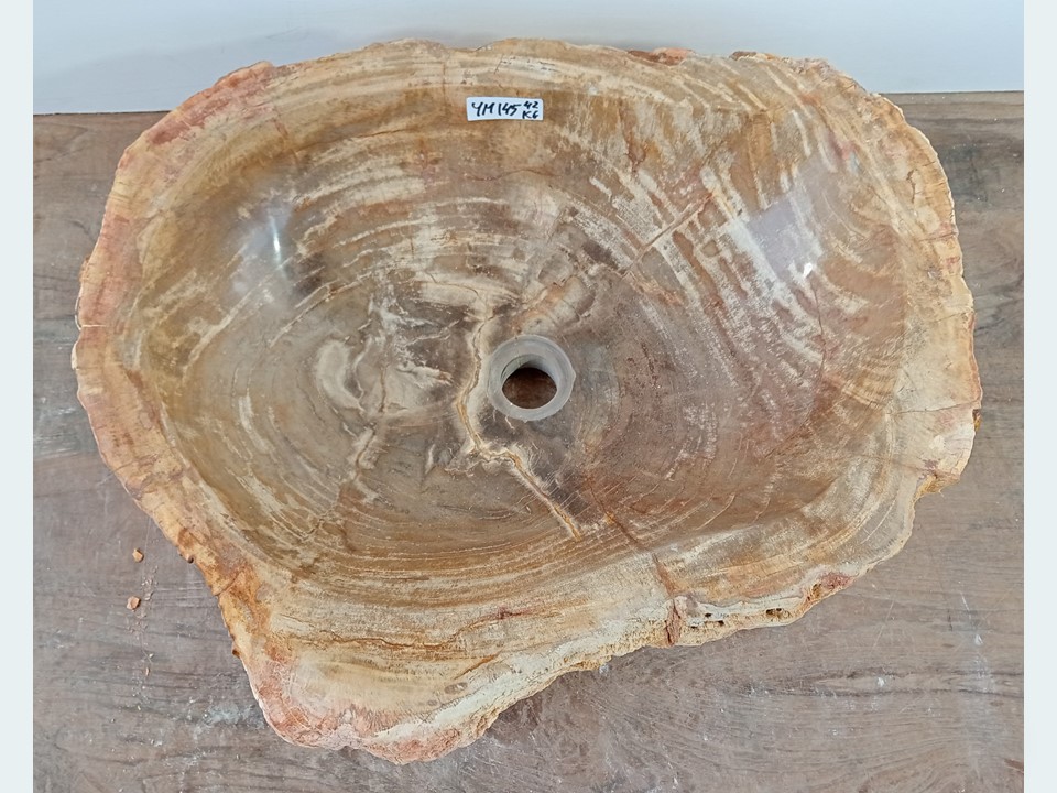 Waskom versteend hout YM145 (55x46cm)