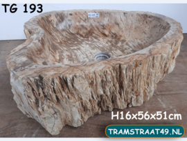 Versteend hout waskom TG193 (56x51cm)