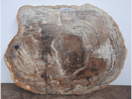 Salontafel blad van versteend hout CV60 (84x64cm)