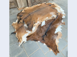 Geitenvachten (±100x±70cm)