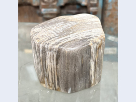 Kleine versteend hout stam L258