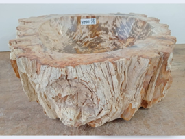 Pompbak uit versteend hout YM141 (43x39cm)