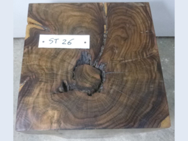 Boomstam salontafel ST26