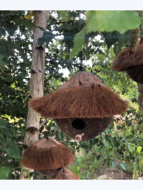 Vogelhuisje kokosnoot