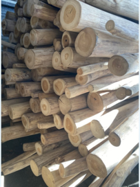 Dikke stok teakhout XL 200-300cm