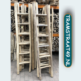 Ladder XL voor ara of andere grote vogel (190x45cm)