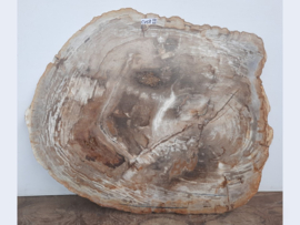 Salontafelblad  uit versteend hout CV58 (84x70cm)