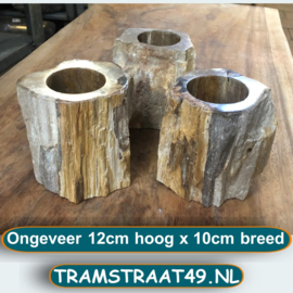 Tandenborstelhouder versteend hout