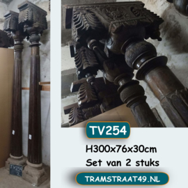 Twee oude pilaren TV254