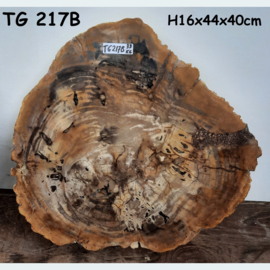 Dikke versteend hout schrijf TG217B