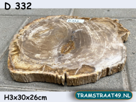 Versteend hout plak D332 (30x26cm)