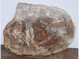 Versteend hout schijf CV43 (86x65cm)