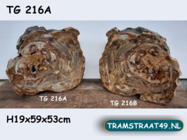 Versteend hout schijf dik TG216A