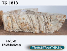 Versteend hout wastafel TG181B