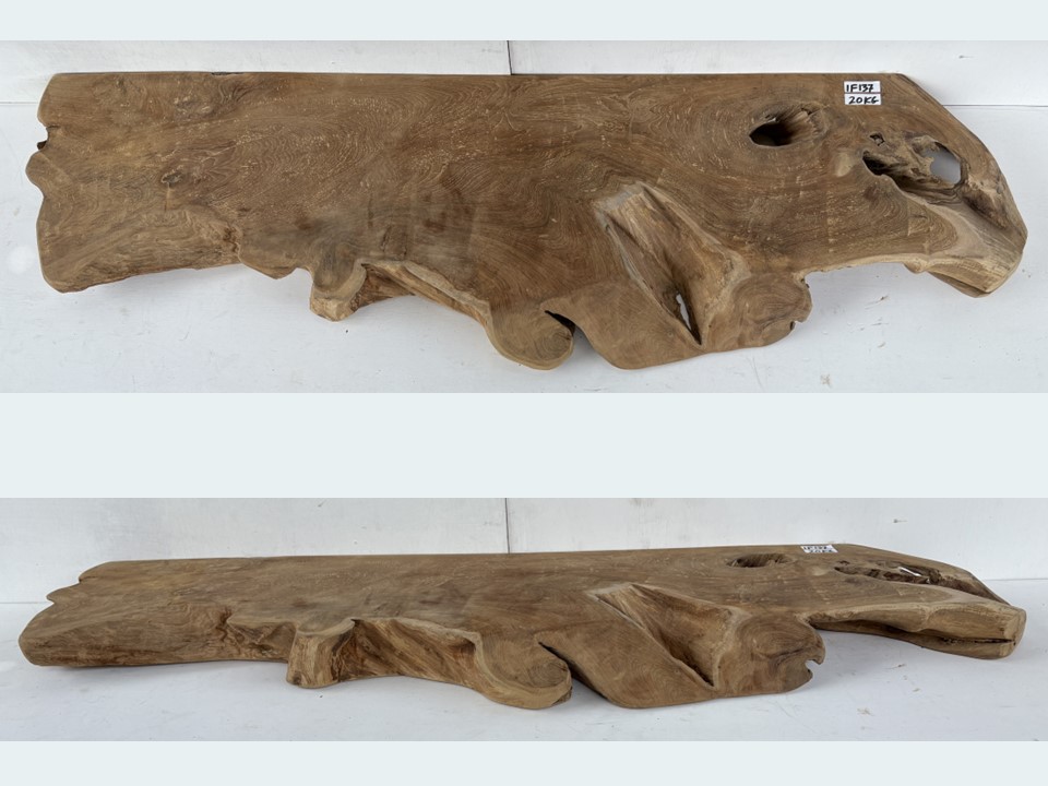 Plank van teak wortel IF137 (146x43cm)