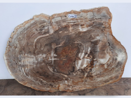 Fossiel hout wanddecoratie  CV46 (85x67cm)