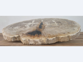 Salontafelblad van versteend hout D930