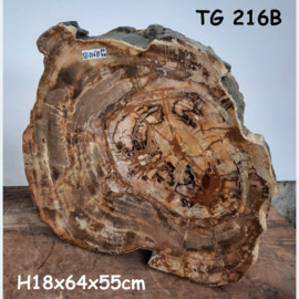 Schrijf versteend hout dik TG216B