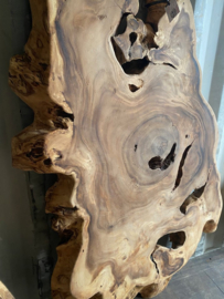 Boomstam tafelblad BT13 (206x120cm)