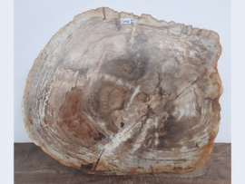 Salontafelblad versteend hout CV47 (80x69cm)