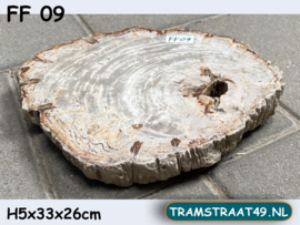 Versteend hout schijf FF09 (33x26cm)