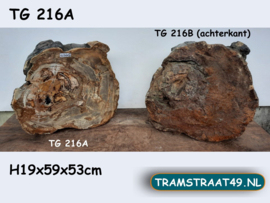Versteend hout schijf dik TG216A