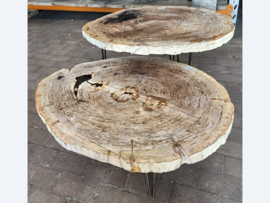Fossiel hout wanddecoratie  CV46 (85x67cm)