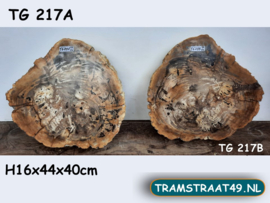 Dikke versteend hout schrijf TG217A