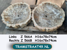 Versteend hout waskom grote set Z566 (78x74cm)
