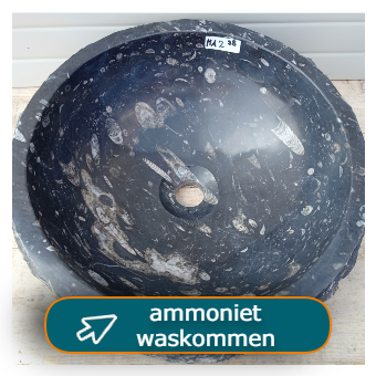 Ammoniet waskommen assortiment