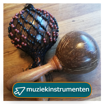 muziekinstrument zoals shakers