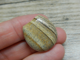 Cabochon 20x22mm picture jasper (1 stuk)