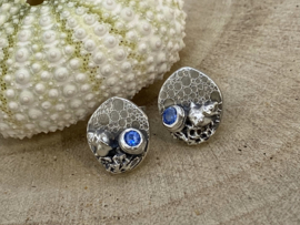 Ocean treasure oorstekers met schelpjes en blauwe zirconia