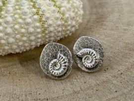 Ocean treasure oorstekers met ammonietjes