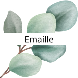 Zilverklei en emaille