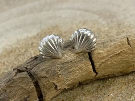 Schelpjes oorstekers