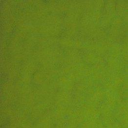 Japanse emaille opaak green