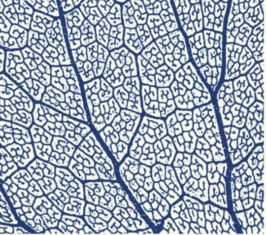 Textuurpapier Leaf Skeleton