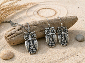 Uiltjeshanger en oorbellen