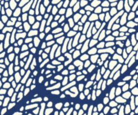 Textuurpapier Sea Fan