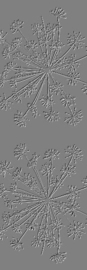 Textuurpapier Dill Weed Flower