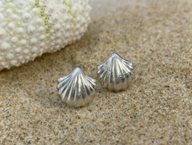 Schelpjes oorstekers