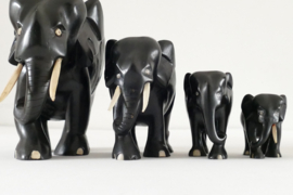 Herd of Ebony Elephants